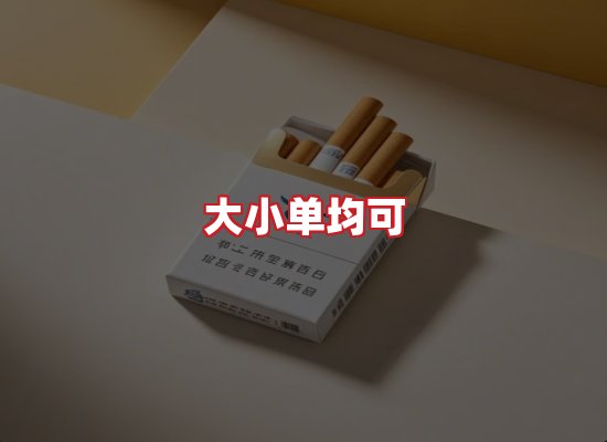 专业团队